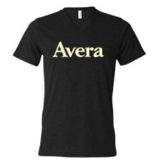 Avera T's BELLA+CANVAS ® Unisex Triblend Short Sleeve V-Neck Tee