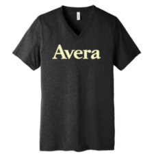 Avera T's BELLA+CANVAS ® Unisex Triblend Short Sleeve V-Neck Tee