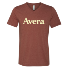 Avera T's BELLA+CANVAS ® Unisex Triblend Short Sleeve V-Neck Tee