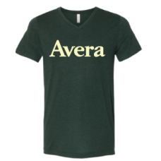 Avera T's BELLA+CANVAS ® Unisex Triblend Short Sleeve V-Neck Tee