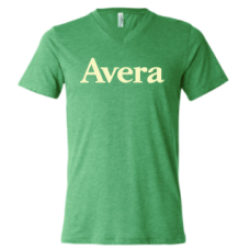 Avera T's BELLA+CANVAS ® Unisex Triblend Short Sleeve V-Neck Tee