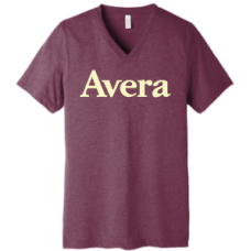 Avera T's BELLA+CANVAS ® Unisex Triblend Short Sleeve V-Neck Tee