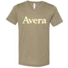 Avera T's BELLA+CANVAS ® Unisex Triblend Short Sleeve V-Neck Tee