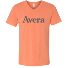 Avera T's BELLA+CANVAS ® Unisex Triblend Short Sleeve V-Neck Tee