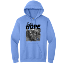 Sully’s Hope Gildan Heavy Blend Hooded Sweatshirt