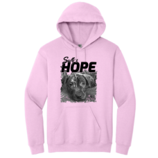 Sully’s Hope Gildan Heavy Blend Hooded Sweatshirt