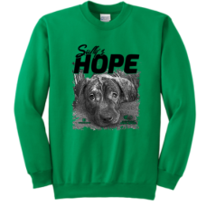 Sully’s Hope Port & Company® Essential Fleece Crewneck Sweatshirt